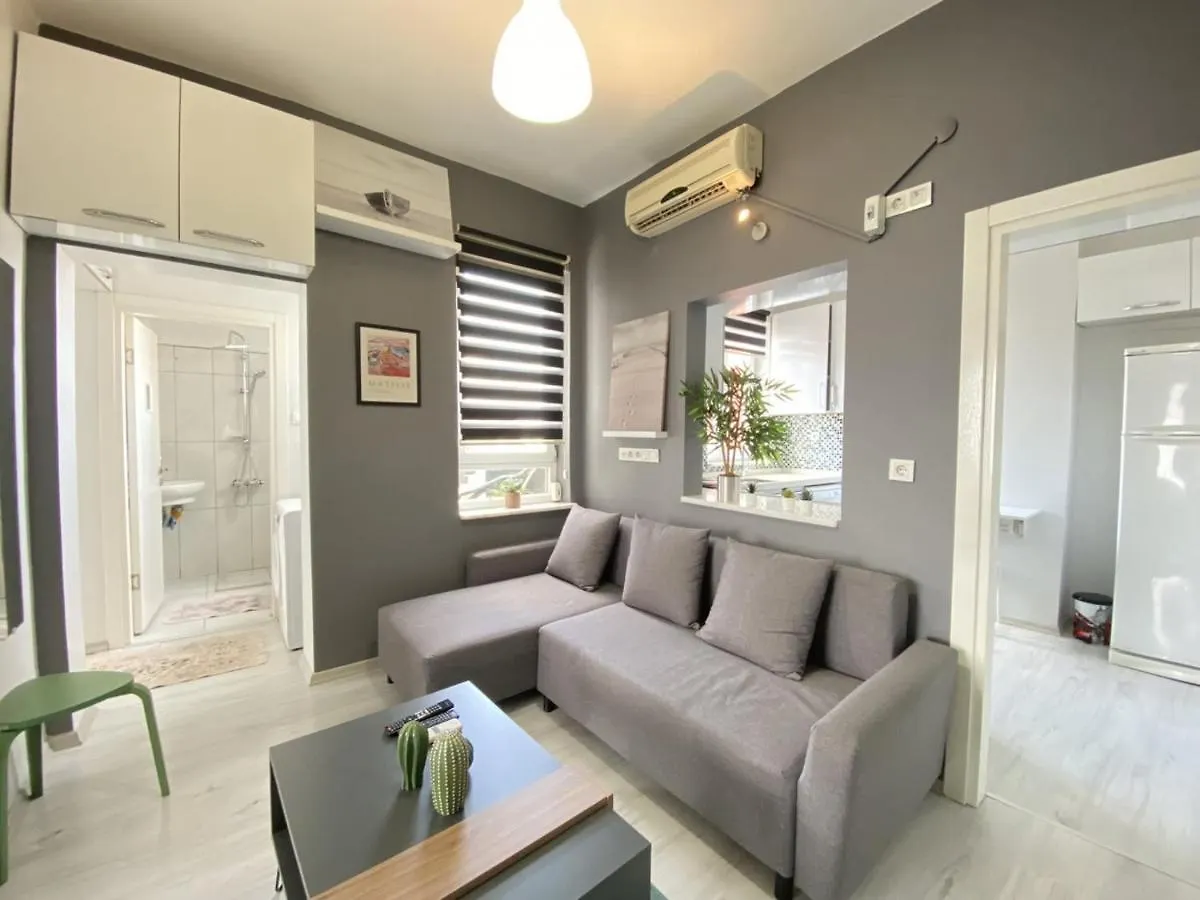 Central And Stylish Flat In The Heart Of Kadikoy Istanbul Apartment