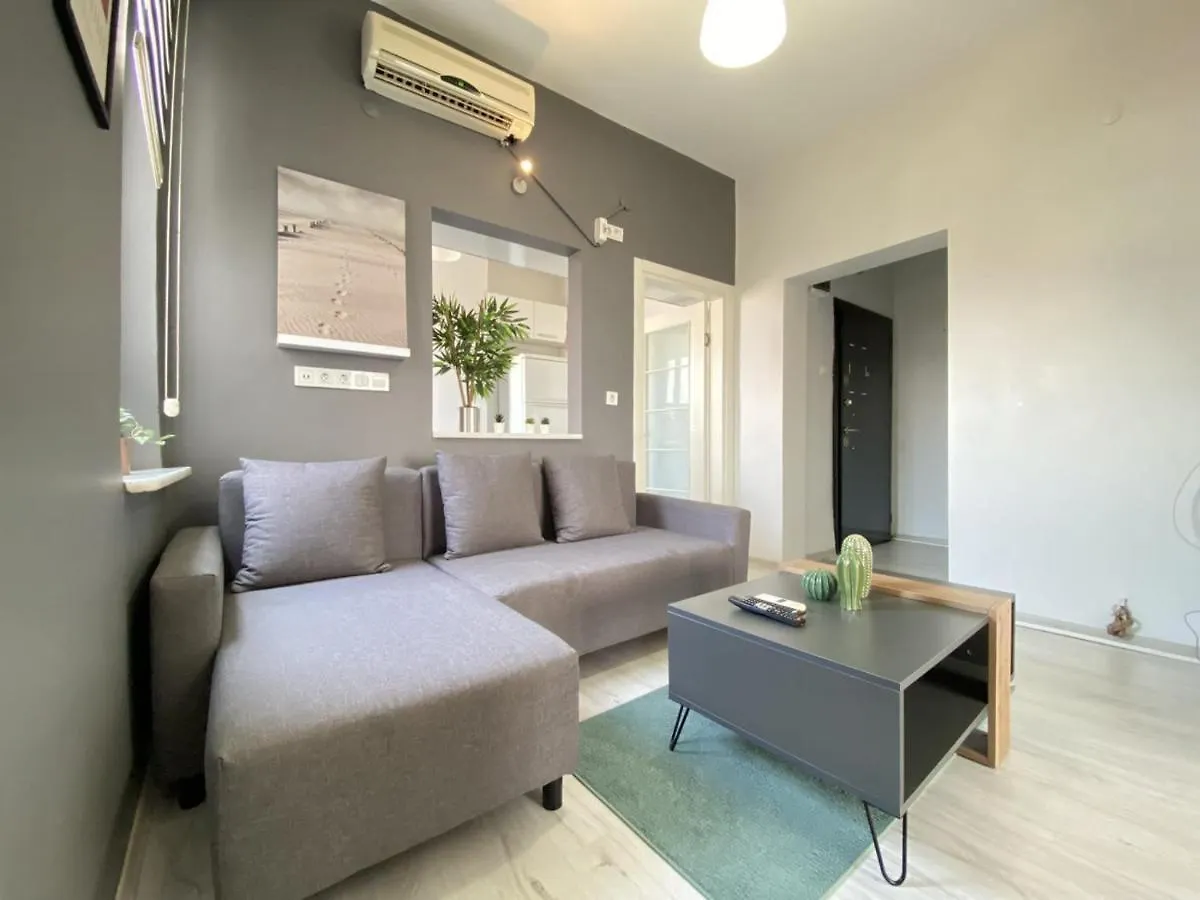 Central And Stylish Flat In The Heart Of Kadikoy Istanbul Turkey